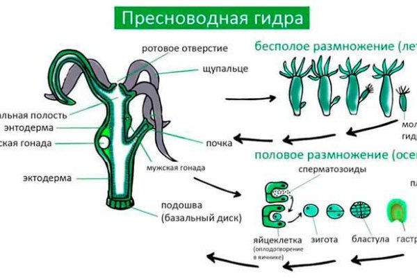 Сайт кракен закрыли